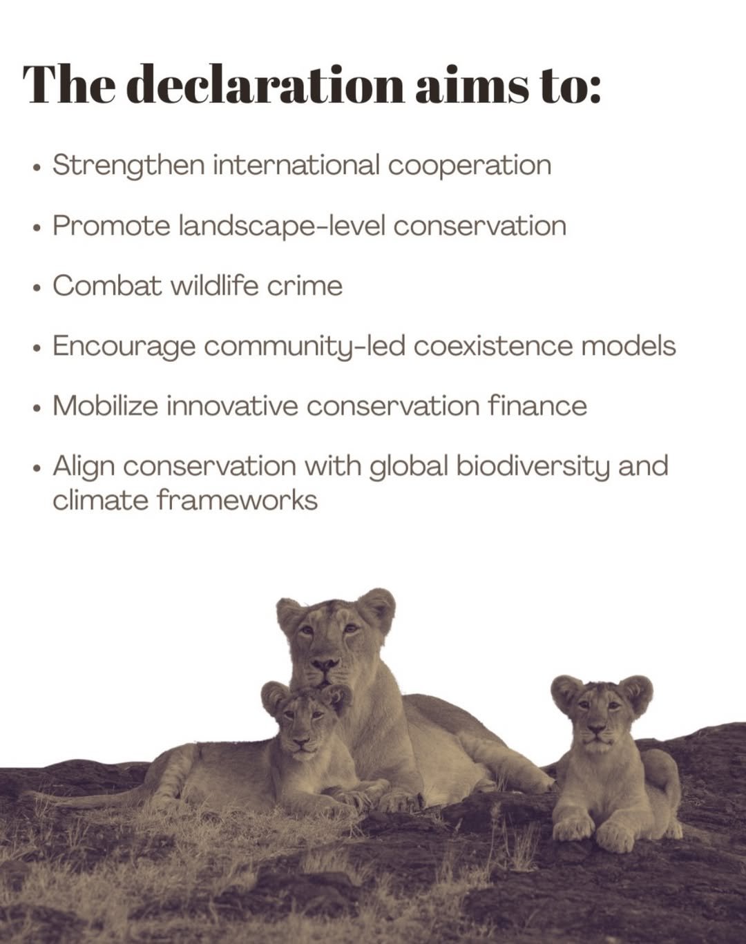Shared global vision to protect big cats and the ecosystems they sustain  The world gathers in India for the IBCA Summit 2026 — a global platform dedicated to the future of big cat conservation, collaboration, and collective action.   With the Delhi Declaration and the strengthening of the International Big Cat Alliance, the IBCA Summit 2026 marks a significant step towards united global action for biodiversity conservation, stronger ecosystems, and long-term sustainability goals.