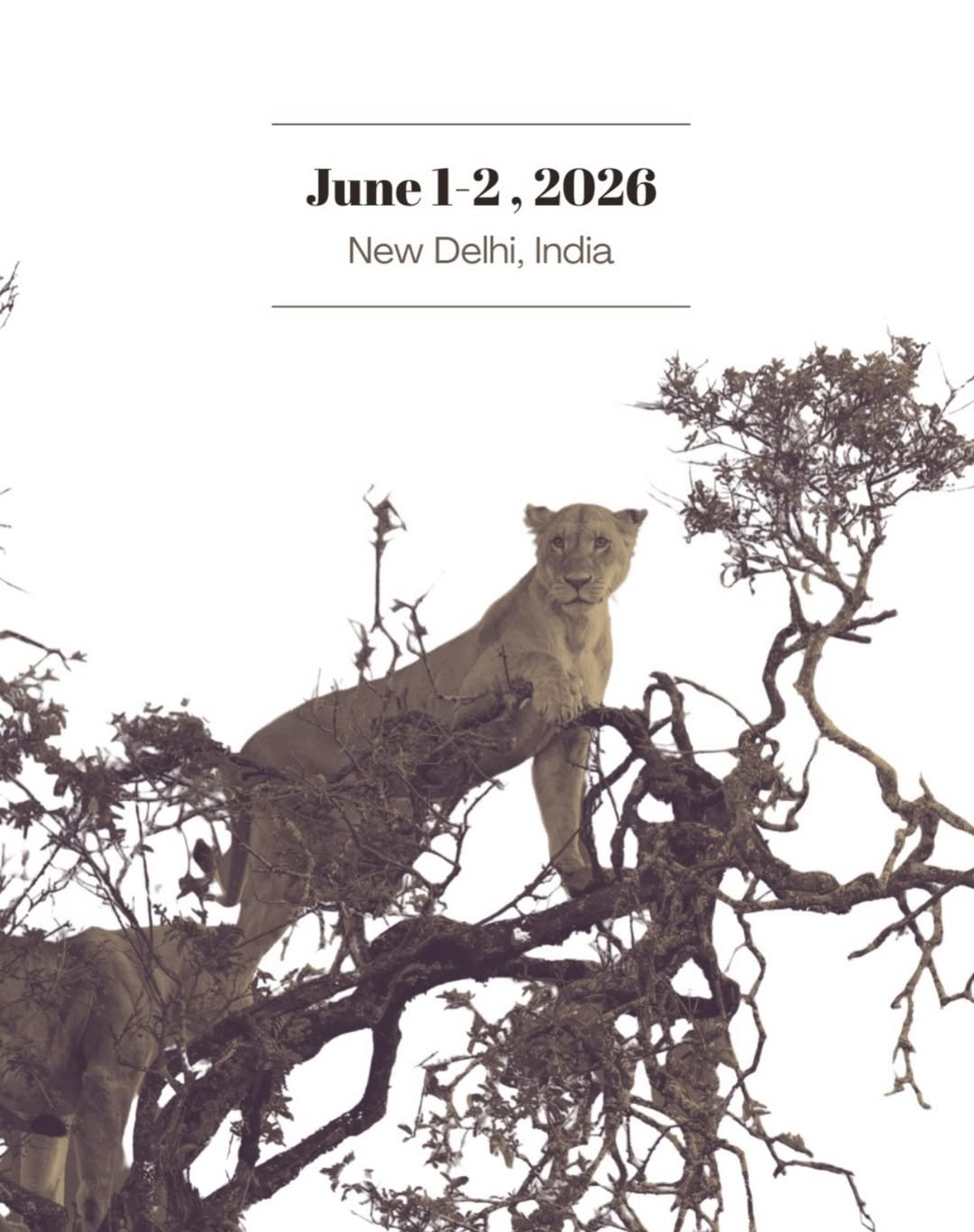 Shared global vision to protect big cats and the ecosystems they sustain  The world gathers in India for the IBCA Summit 2026 — a global platform dedicated to the future of big cat conservation, collaboration, and collective action.   With the Delhi Declaration and the strengthening of the International Big Cat Alliance, the IBCA Summit 2026 marks a significant step towards united global action for biodiversity conservation, stronger ecosystems, and long-term sustainability goals.