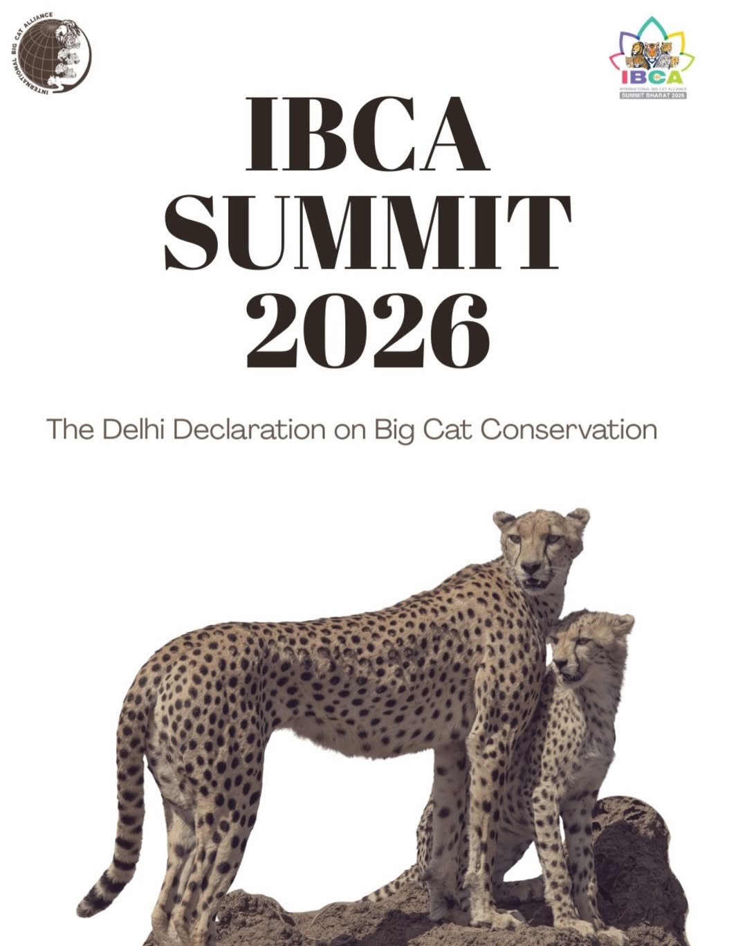Shared global vision to protect big cats and the ecosystems they sustain  The world gathers in India for the IBCA Summit 2026 — a global platform dedicated to the future of big cat conservation, collaboration, and collective action.   With the Delhi Declaration and the strengthening of the International Big Cat Alliance, the IBCA Summit 2026 marks a significant step towards united global action for biodiversity conservation, stronger ecosystems, and long-term sustainability goals.
