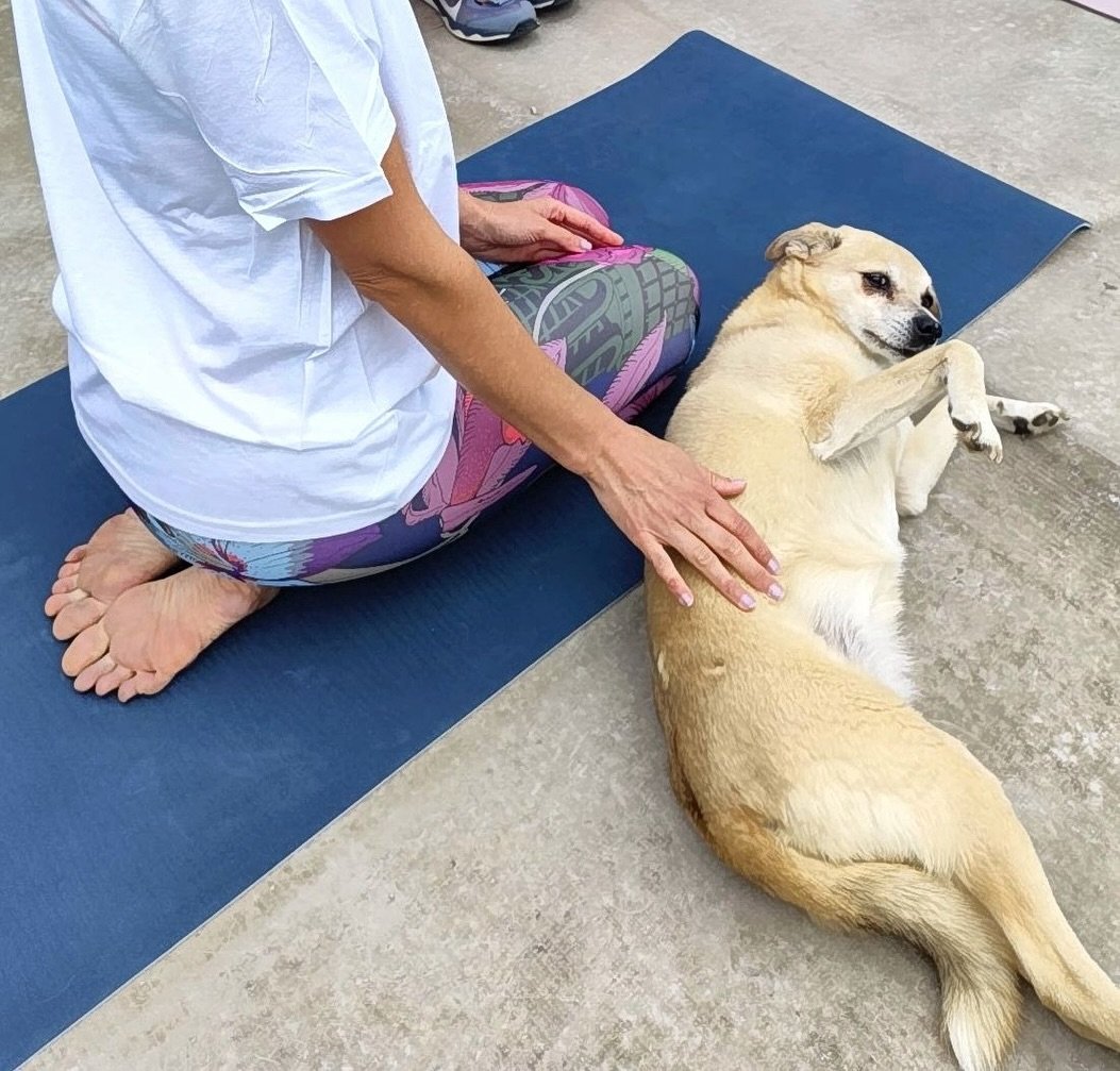 Special rooftop yoga session in the heart of Zagreb